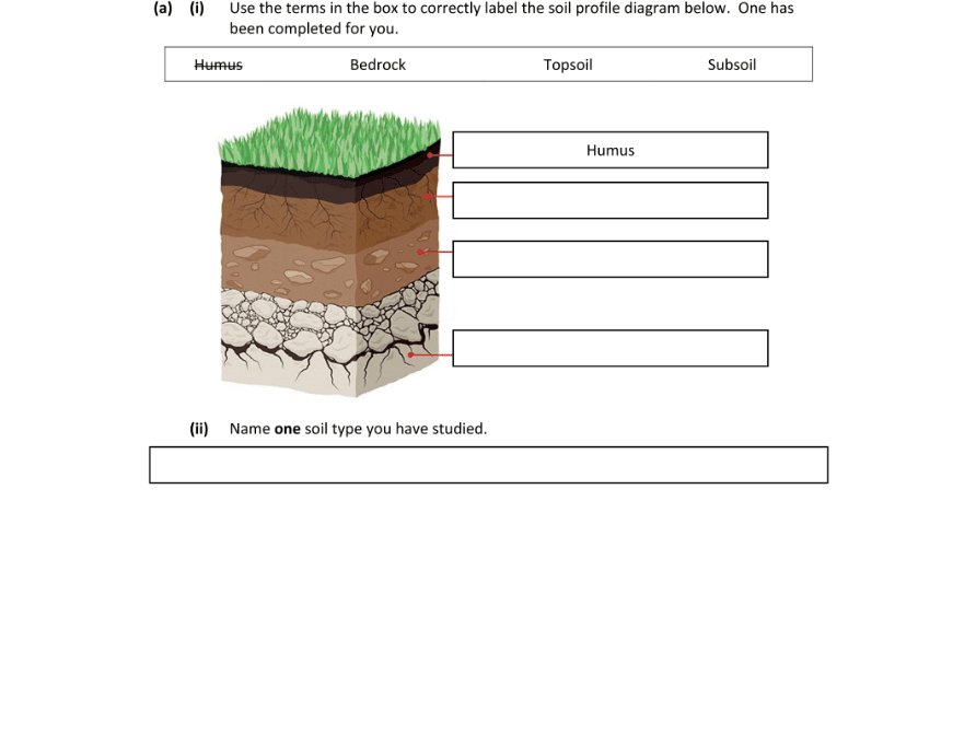 Question 2022 - 5 Part 1