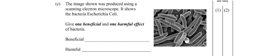 Question 2010 - 1 Part 1