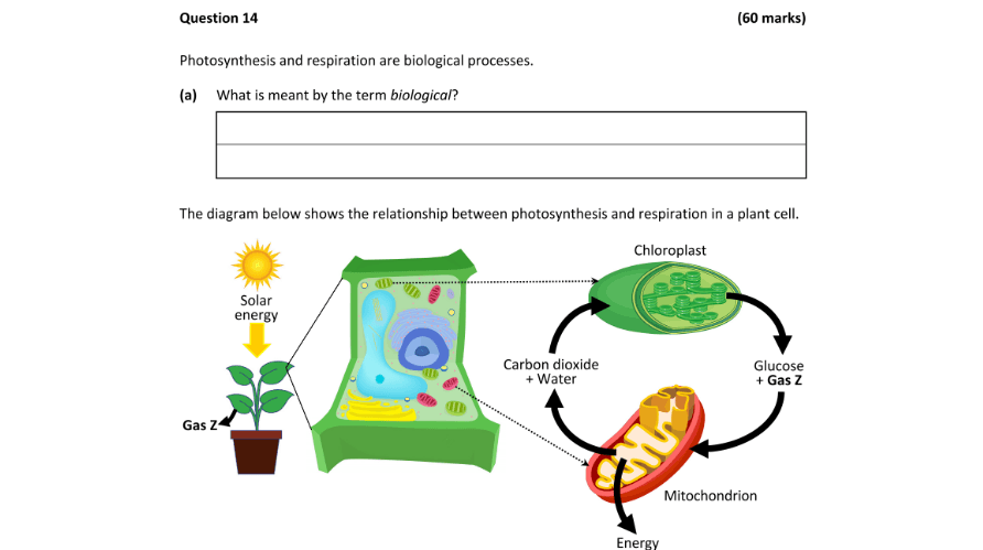 Question 2025 - 14 Part 1
