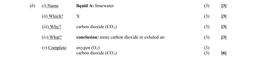 Marking Scheme Part 1