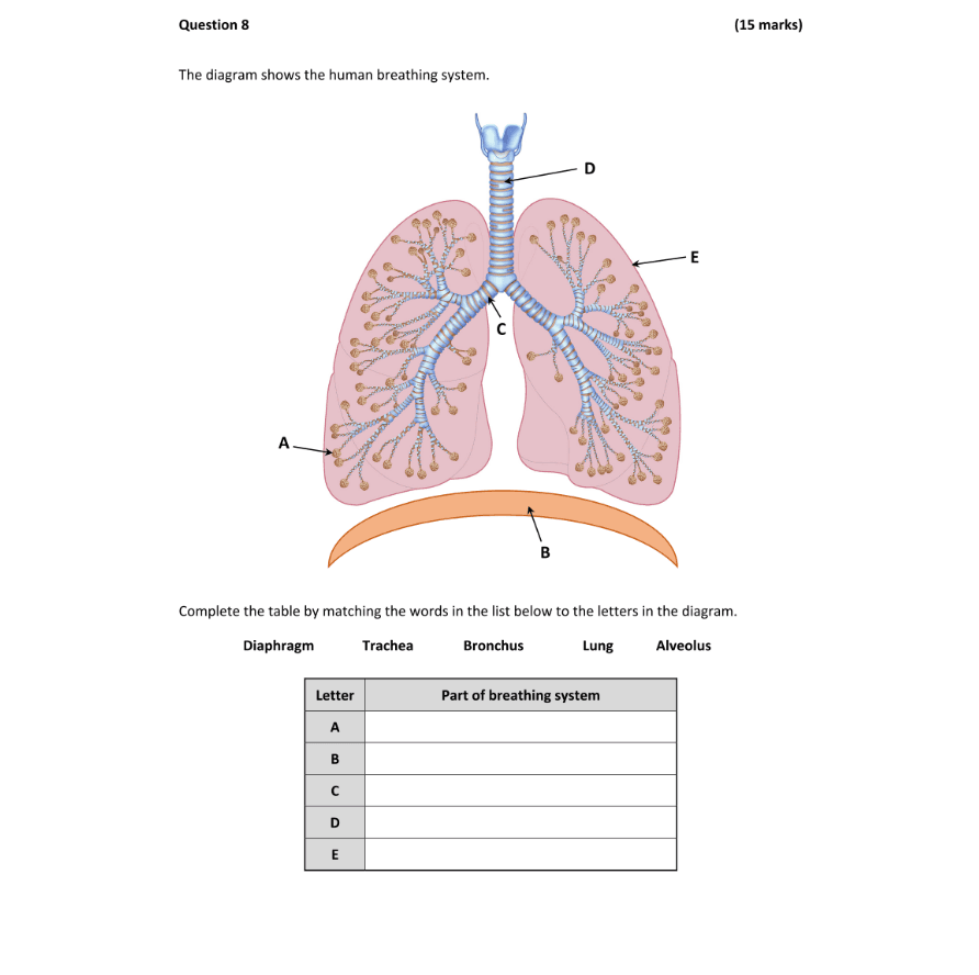 Question 2025 - 8 Part 1