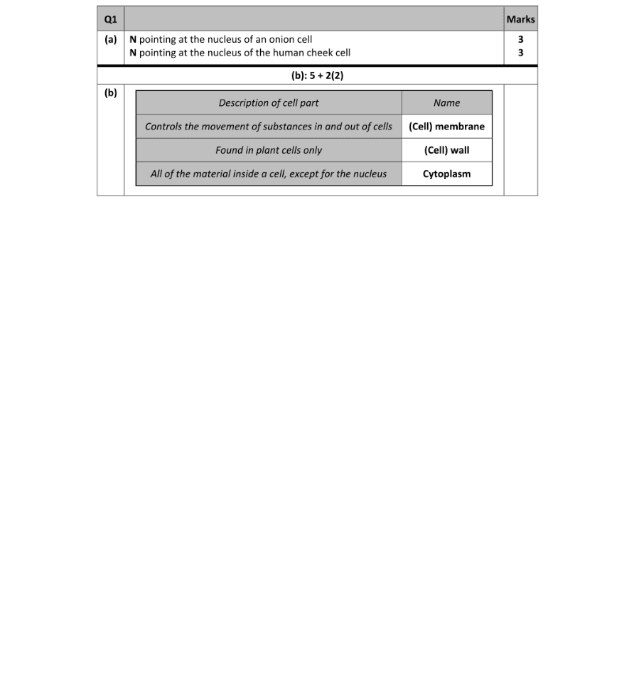 Marking Scheme Part 1