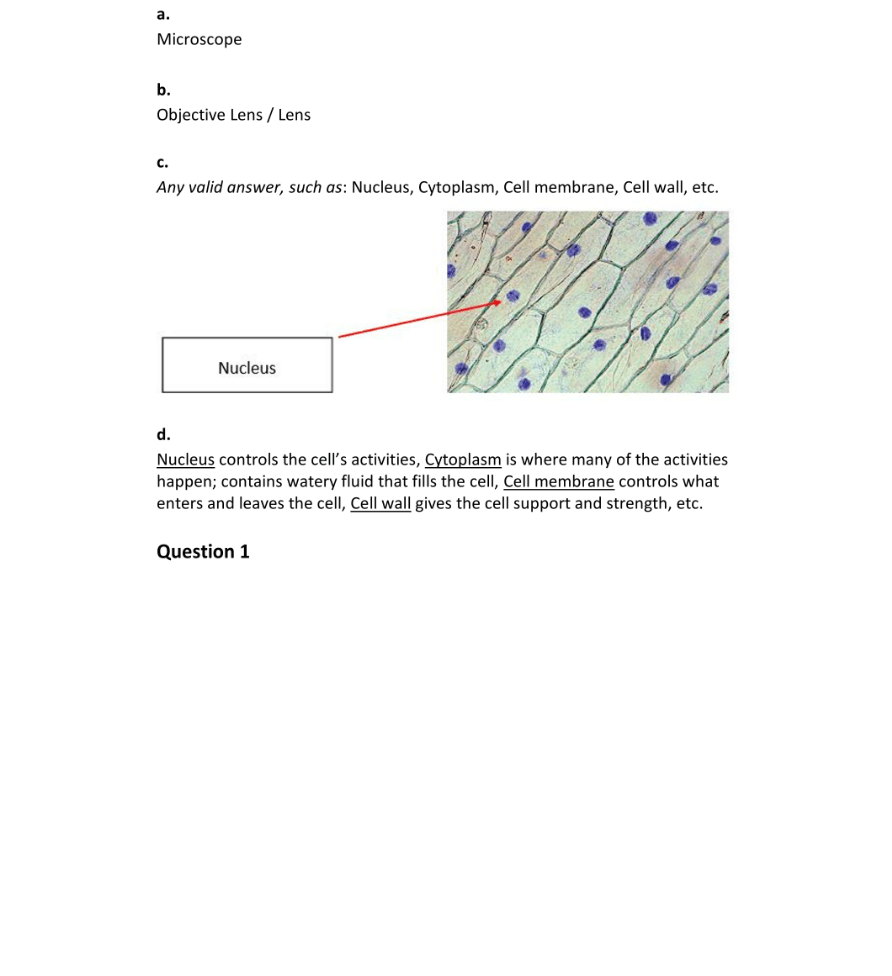Marking Scheme Part 1