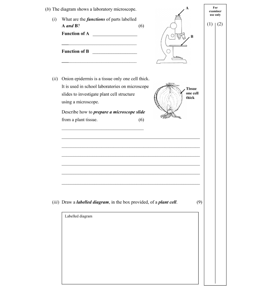 Question 2006 - 3 Part 1