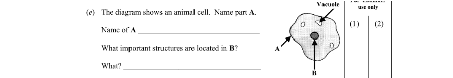 Question 2011 - 1 Part 1