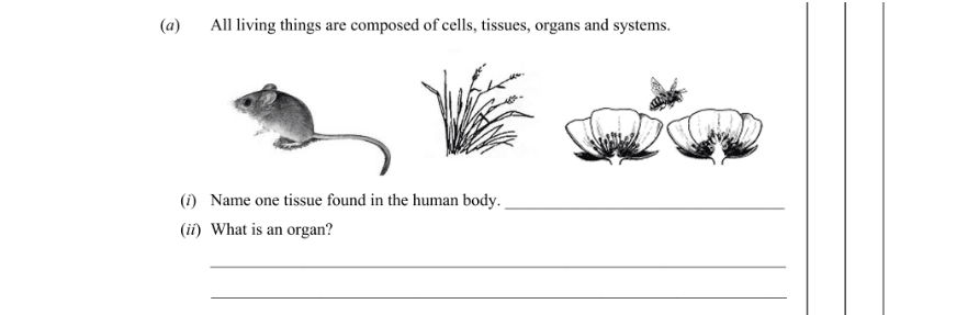 Question 2016 - 1 Part 1