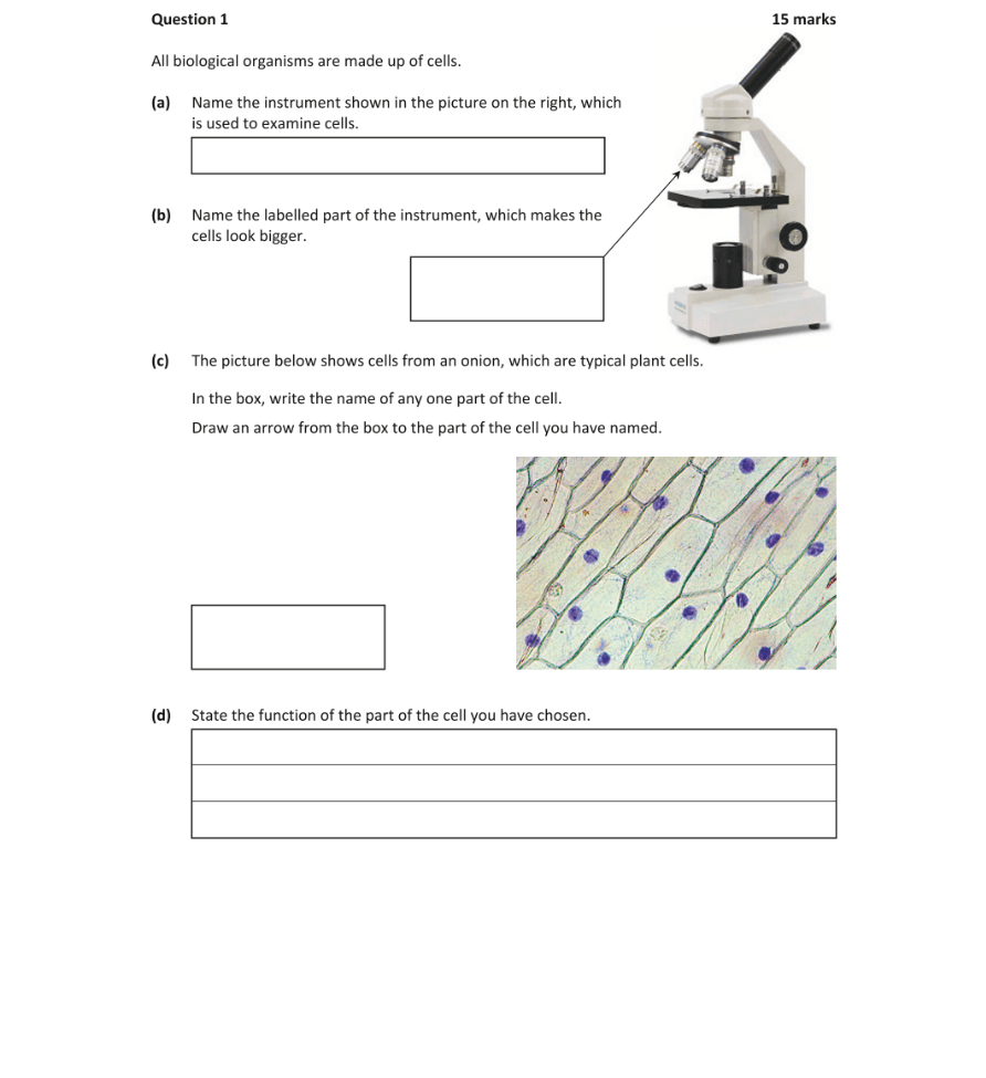 Question 2019 - 1 Part 1