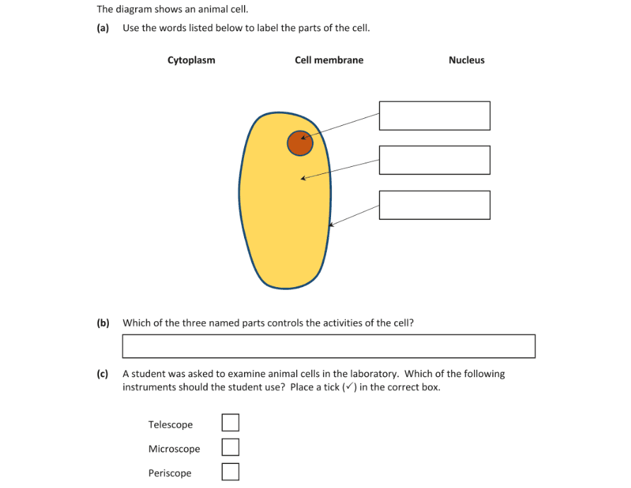 Question 2019 - 1 Part 2