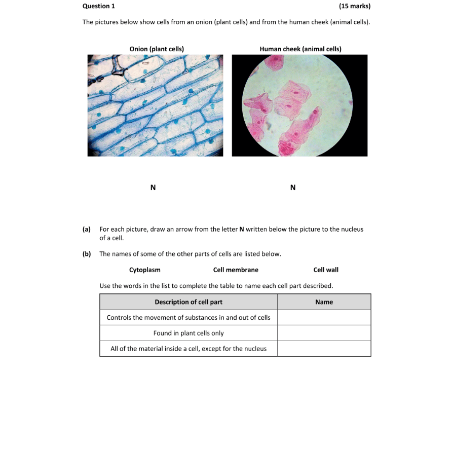 Question 2023 - 1 Part 1