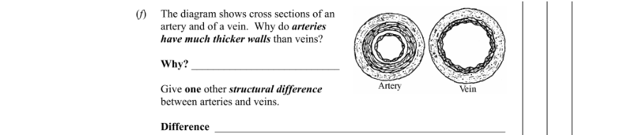 Question 2008 - 1 Part 2