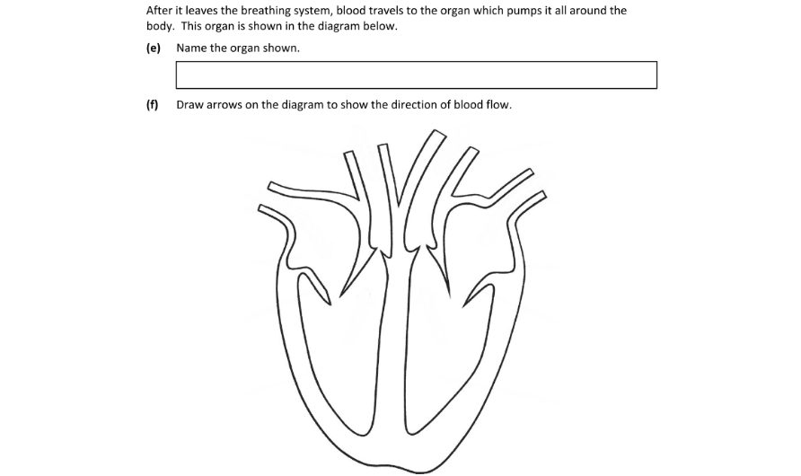 Question 2023 - 15 Part 1