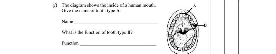Question 2011 - 1 Part 1