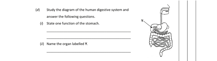 Question 2018 - 1 Part 1