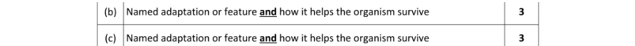 Marking Scheme Part 1