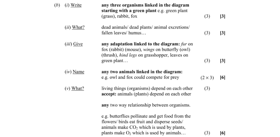Marking Scheme Part 1