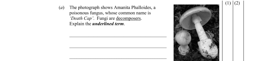 Question 2008 - 1 Part 1