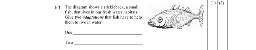 Question 2010 - 1 Part 1