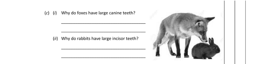 Question 2017 - 1 Part 1