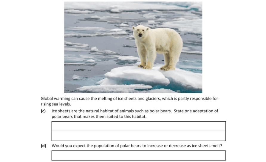 Question 2019 - 8 Part 1