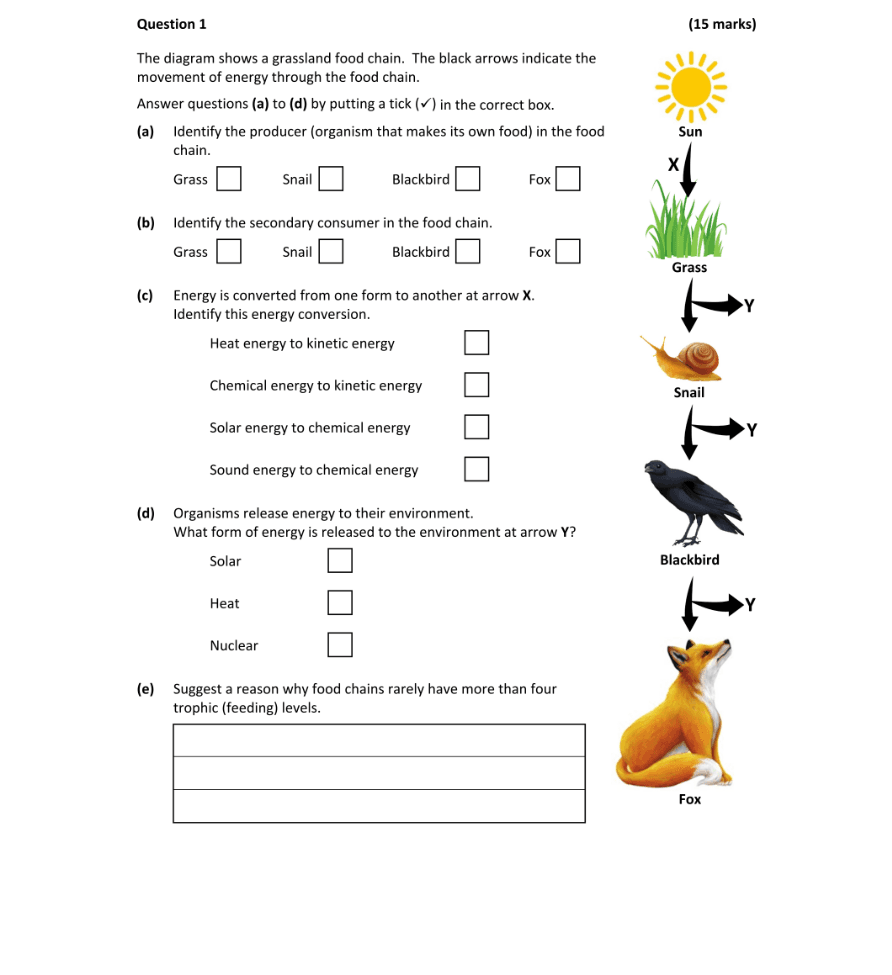 Question 2024 - 1 Part 1