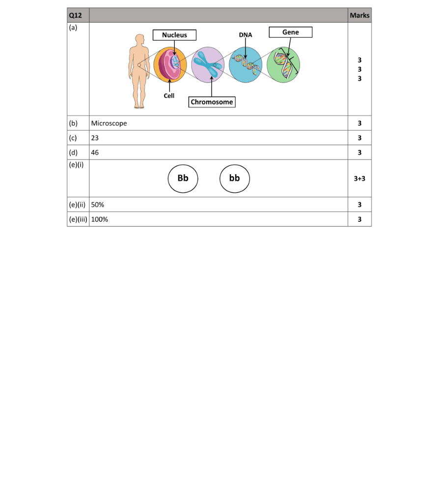 Marking Scheme Part 1
