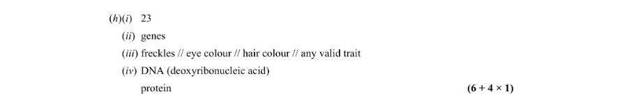 Marking Scheme Part 1