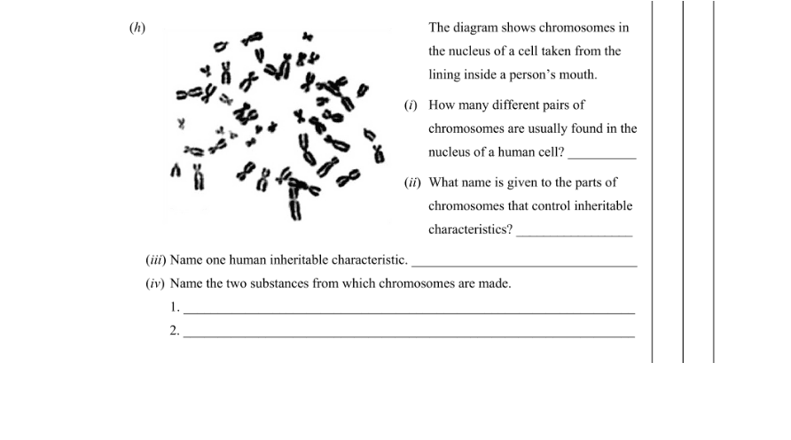 Question 2015 - 1 Part 1