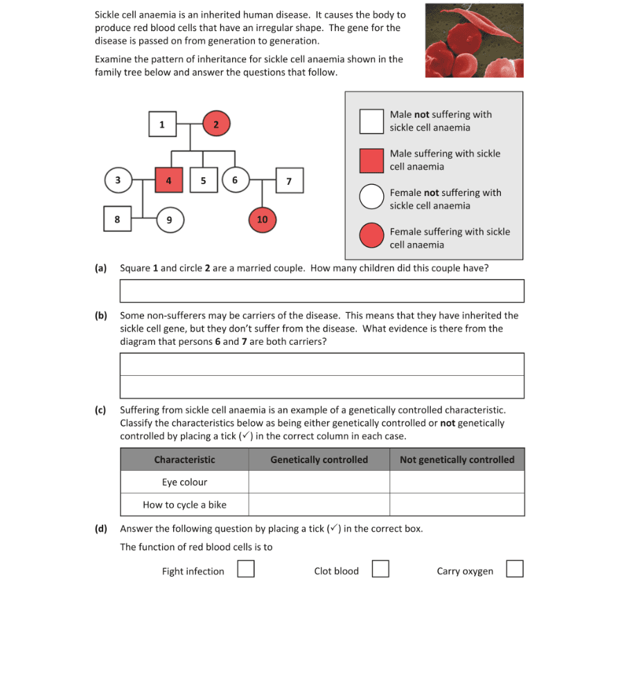 Question 2019 - 5 Part 1