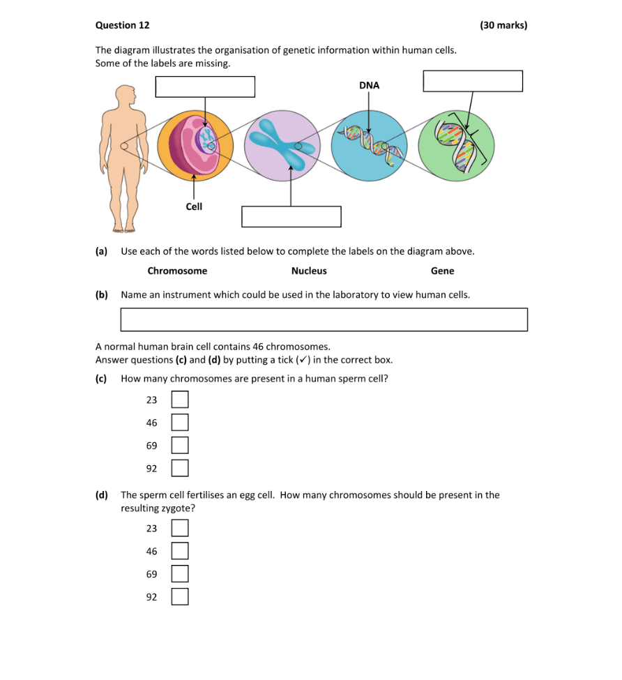 Question 2022 - 12 Part 1