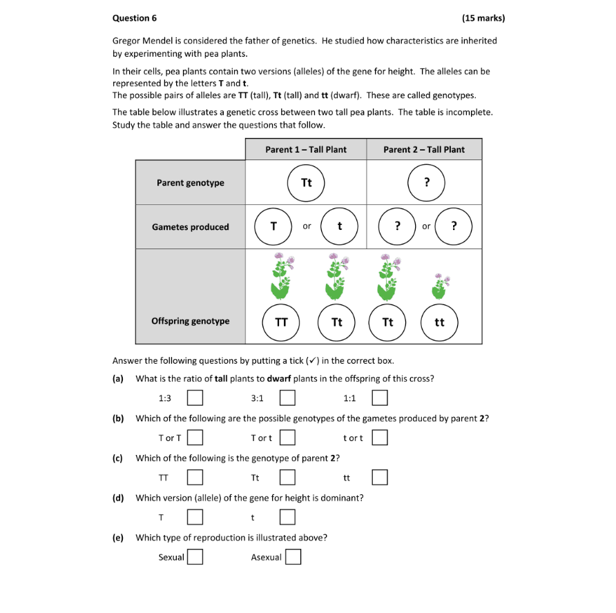 Question 2024 - 6 Part 1