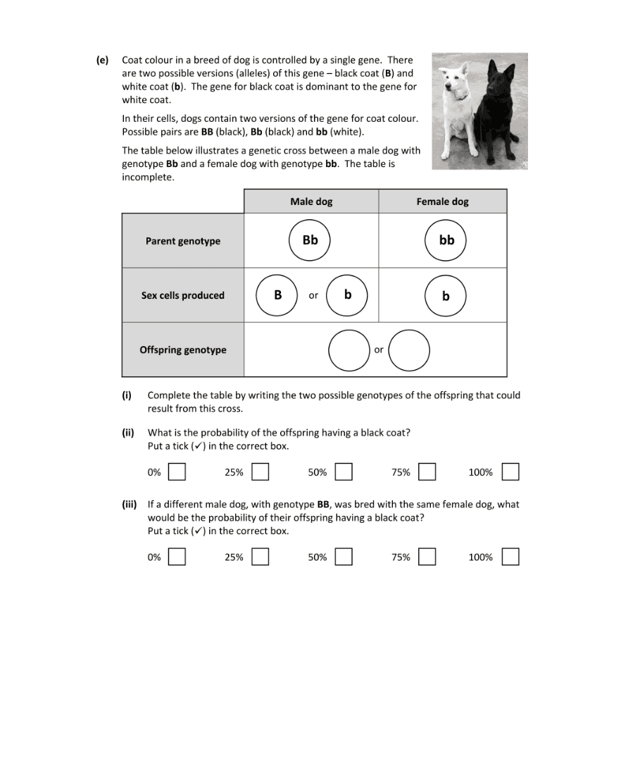 Question 2022 - 12 Part 2