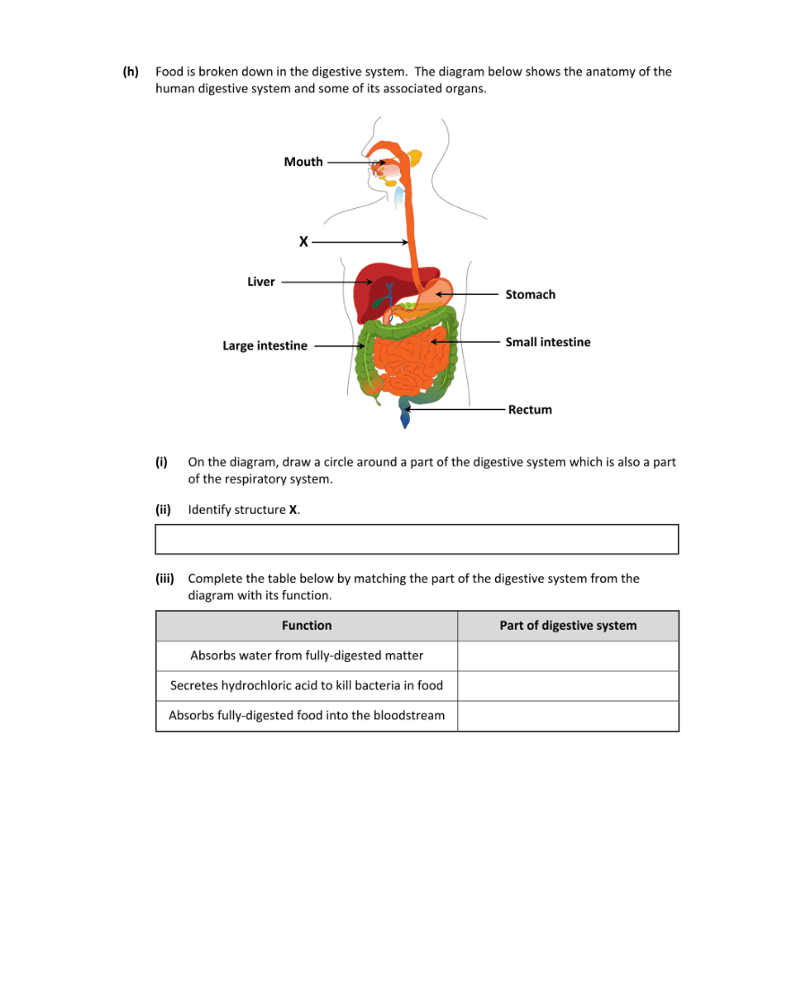 Question 2022 - 14 Part 2