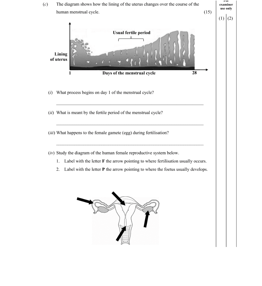 Question 2016 - 2 Part 1