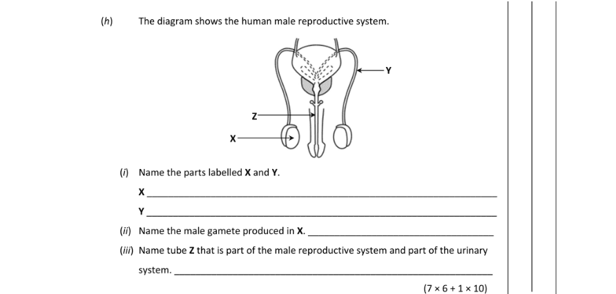 Question 2017 - 1 Part 1