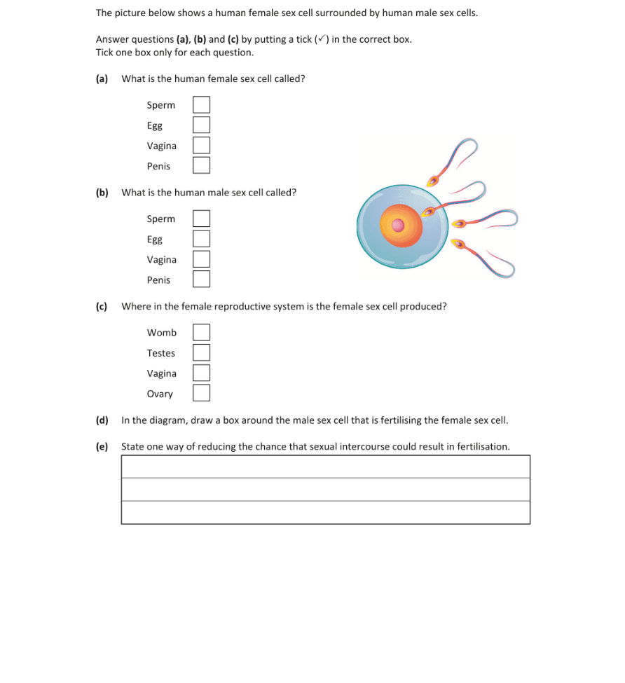 Question 2019 - 7 Part 1