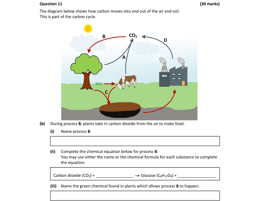 Question 2023 - 11 Part 1