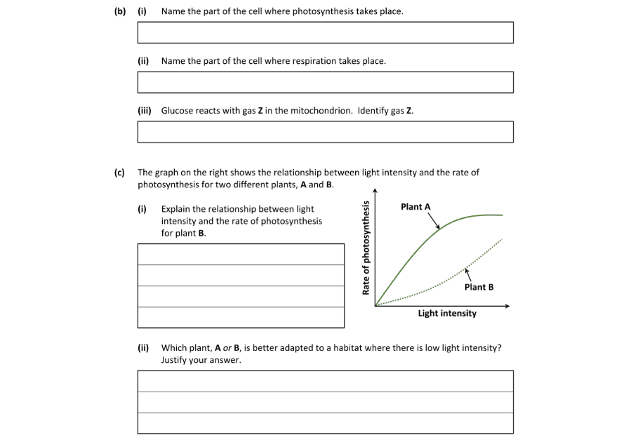 Question 2025 - 14 Part 1