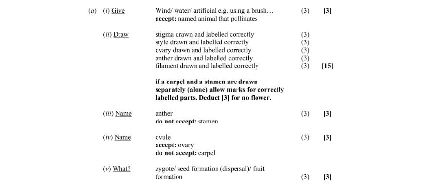 Marking Scheme Part 1