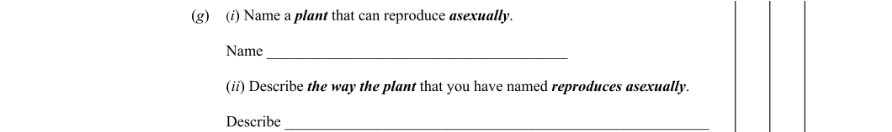 Question 2009 - 1 Part 1