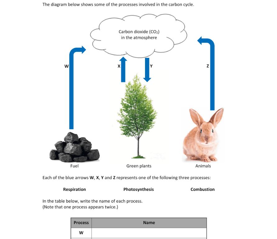 Question 2019 - 5 Part 1