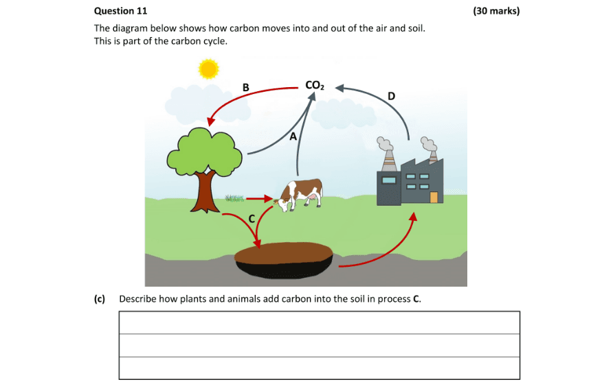 Question 2023 - 11 Part 2