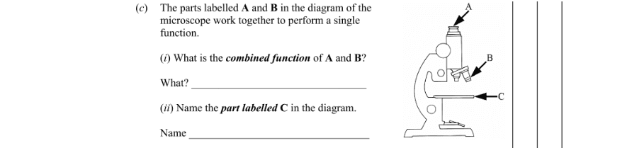 Question 2009 - 1 Part 1