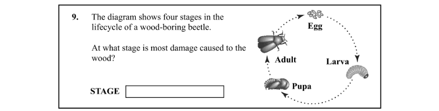 Question 2010 - 9 Part 1