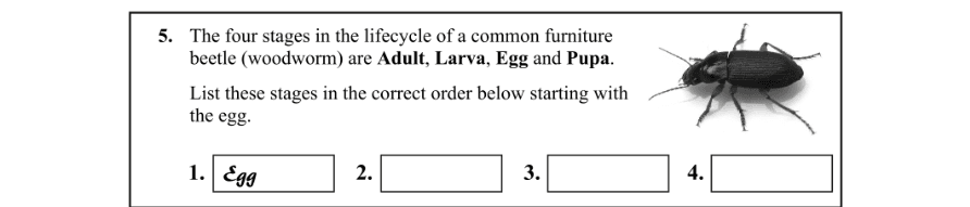 Question 2013 - 5 Part 1
