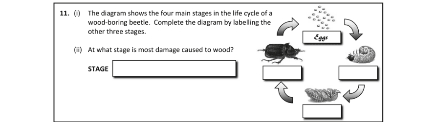 Question 2017 - 11 Part 1