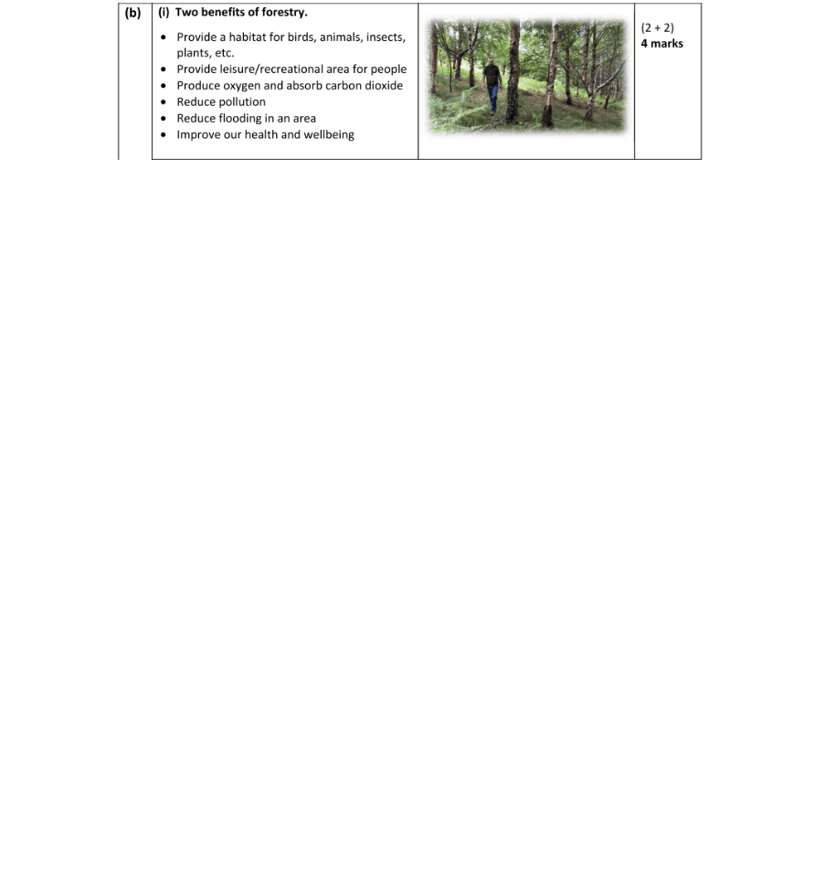 Marking Scheme Part 1