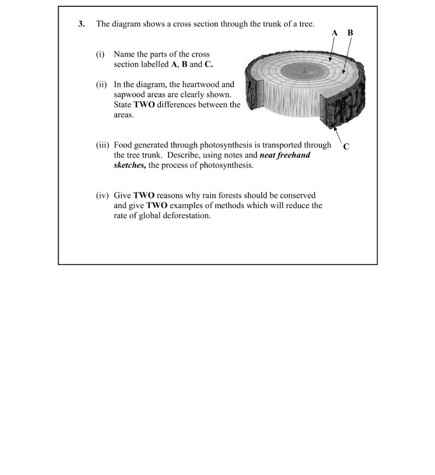 Question 2007 - 3 Part 1