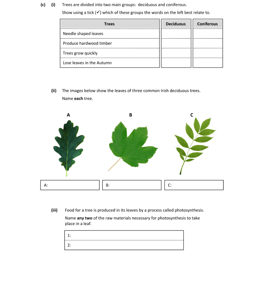 Question 2022 - 3 Part 1