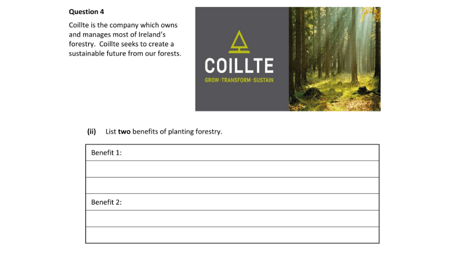 Question 2024 - 4 Part 2