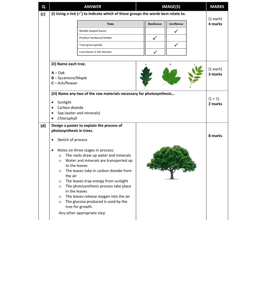 Marking Scheme Part 1